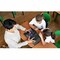 Asus ASUS CHROMEBOOK/GREY/11.6 HD NON-TOUCH/N150/8GB/INTEL UMA/64GB/CHROMEOS CR1104CTA-YZ84 - alternate 15