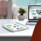 Acrimet Stackable Letter Tray Front Load Letter Size Document Organizer Plastic Clear Green 1 Unit 211.5 - alternate 3