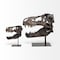 Homeroots Authentic Replica T Rex Skull Sculpture 392483 - alternate 1