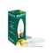 Bulbrite 40-Watt B10 Clear Dimmable Warm White Light Incandescent Light Bulb, 50PK 861106 - alternate 5