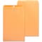 Business Source Filing Envelope, Brown, Kraft, PK100 BSN36666 - alternate 1