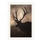 Homeroots Elk Sunrise White Framed Print Wall Art 530015 - alternate 4