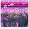 Ipower 60W Full Spectrum LED Plant Grow Light Strips for Indoor Plants with Auto ON/Off 3/9/12H Tim GLLEDXSTRIPSMIX60T - alternate 3