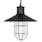 Sunlite Satin Black Vintage Caged Canopy Pendant Farmhouse Single E26 Base, 68in. Braided Woven Cord 07005-SU - alternate 1