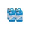 Renown Enzyme Enriched Floor Cleaner and Deodorizer 64 oz., 4PK REN012 - alternate 2