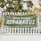 Signmission Farm Fresh Asparagus, 48 Inch x 120 Inch, Vinyl Banner B-120-30574 - alternate 4