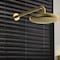 Grohe Ntempesta Shw Head Wall Mount 26409GN0 - alternate 3