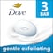 Dove Gentle Exfoliating Beauty Bar Soap, 9.51 Ounce, 12PK 64383682 - alternate 4