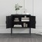Manhattan Comfort Ava 23.6in Accent Cabinet in Black AF005-BK - alternate 3