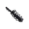 Fcs Struts Suspension Strut And Coil Spring Assembly 1335991 - alternate 2
