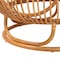 Bali & Pari Adeola Natural Rattan Coffee Table 260-14221-ZORO - alternate 4