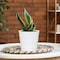 L&G Solutions 5.7 in. H X 6 in. W X 6 in. D X 6 in. D Resin Planter White PVH9106PWK - alternate 2