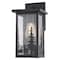Vaxcel Acadia Matte Black Rustic Outdoor Wall Sconce Light, Clear Seeded Glass T0811 - alternate 1