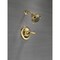 Delta Classic Monitor 13 Series Shower Trim T13220-PBSHC - alternate 5