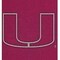 Coverking UNIVERSAL ULTISUEDE SEAT COVER DESIGNER 1PC, UNIVERSITY OF MIAMI PINK , ELA120 USCSELA120 - alternate 2