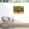 Trademark Fine Art Outdoor Canvas Art - David Stribbling 'Red Deer in Field' Wall Art for Patios, or Gardens GRL00448-OC1419WR - alternate 4