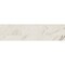 Daltile Porcelain, Calacatta Empire, 11.81 in H, 2.78 in W, Matte CT76P43C91P1 - alternate 3