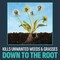 Lilly Miller Image 10 Lb. Granular Noxall Vegetation Killer 100551473 - alternate 5