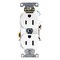 Leviton Duplex Receptacle Outlet, 15A, White, 125V 5252-W - alternate 1