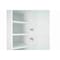 Cambridge Radiance 18 in. W x 24 in. D x 90 in. H Ready to Assemble Slab Pantry Kitchen Cabinet in White Gloss SA-TP1890-WG-KIT - alternate 5