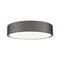 Z-Lite Coronado 1 Light Flush Mount, Bronze, 20 In W 1017F20-BRZ-LED - alternate 1