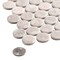 Andova Tiles Estavo Grey 3/4-in. Penny Round Stone Inspired Matte Porcelain Floor & Wall Mosaic Tile ANDESTA1251 - alternate 2