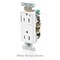 Leviton DPl Dup Rec 15A 125V 1MCtrl Self-Gr Gry 16252-1PG - alternate 2