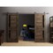 Sartodoors Sturdy Dbl Barn Door 60 x 96in W/, Cognac Oak W/ Black Glass, SS 13FT Rail Hangers Heavy Set VEREGIO7588DB-S-AKA-6096 - alternate 1