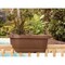 Bloem Classic Deck Rail Box Planter, 11.9 in W, 23.9 in D, Plastic, Terra Cotta, Matte 477241-1001 - alternate 3