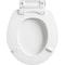 Mayfair Toilet Seat, Round, Wood, White, Single Hinge 878SLW000 - alternate 2