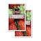 Signmission Fresh Strawberries, Vinyl Decals Only 24 Inch x 36 Inch, Vinyl Decal, 2PK DSB-2436-2PACK-Fresh Strawberries - alternate 1
