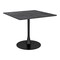 Homeroots 35" Black Square Steel Pedestal Base Dining Table 386247 - alternate 3