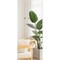 Fab Glass And Mirror Glassless Full Length Mirror Shatterproof Unbreakable Wall Mirror for Gym, Dance Studio, Home W GLM36x72BL - alternate 1