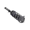 Fcs Struts Suspension Strut And Coil Spring Assembly 3345879R - alternate 5