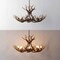 Jonathan Y Eldora 36" 8-Light Rustic Farmhouse Adjustable Resin Antler LED Chandelier, Brown JYL6319A - alternate 4