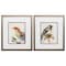 Homeroots 14" X 16" Metallic Bronze Frame Eco Bird, Set Of 2, 2PK 365237 - alternate 4