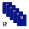 C-Line Products 8-1/2" x 11" Blue Two-Pocket 3-Hole Punch Heavyweight Poly Portfolio Folder, 25EA/BX, 6BX/CT 33935-BX - alternate 2