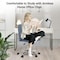 Yssoa Simple Deluxe Armless Office Desk Chair, Modern Cute Swivel Vanity Chair Comfy Home Office Chairs w 3A88HKCHAIROFFICEBLU01 - alternate 3