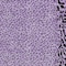 Homeroots 8' X 10' Purple Animal Print Washable Indoor Outdoor Area Rug 607665 - alternate 4