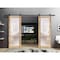 Sartodoors Sturdy Double Barn Door with Frosted Glass Planum 2102 Oak 48x96 (2* 24x96) Solid Core PLANUM2102DB-DUB-4896 - alternate 1