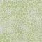 Homeroots 8' X 10' Artichoke Green And Ivory Geometric Washable Indoor Outdoor Area Rug 595046 - alternate 3
