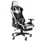 Gamefitz Gaming Chair in Black and White GF-2003 - alternate 1