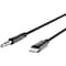 Belkin 3.5 MM AUDIO CABLE WITH LIGHTNING CONNECTOR 6 FEET BLACK AV10172BT06-BLK - alternate 1