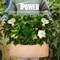 Ipower Grow Bag, 25-gallon, 5-pack, Tan, 5PK GLGROWBAG25X5TAN - alternate 5