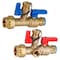 Everflow Press Tankless Water Heater Kit- Set of 2 Heavy Duty Hot and Cold Isolation Valves w/Cleanouts 1" FTGV-ISO1-R-LF - alternate 1