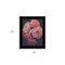 Homeroots Dreamy Rose 2 Black Framed Print Wall Art 408155 - alternate 3
