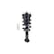 Fcs Struts Suspension Strut And Coil Spring Assembly 4355037 - alternate 3