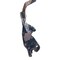 Cnh BRACKET, CNH OEM 87373032 87373032 - alternate 3