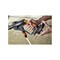 Worx Power Cleaner, 20 V Battery, 0.5 gpm, 94/320 psi Pressure WG620 - alternate 6
