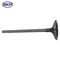 Skyward Automotive Products Engine Intake Valve,  SKV3406 - alternate 1